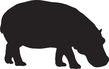 Hippopotamus Silhouette Side View – Grazing Hippo Vector Illustration at Ground-Level Angle, Isolated on Transparent Background