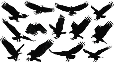 Obraz premium Eagle silhouette collection, flying poses, landing motion, bald eagle, black outline, bird of prey, dynamic wings, wildlife icon, aerial stance, graphic design