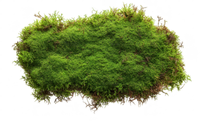 A patch of lush green moss its rich texture and color. set against a clean white background. ideal for nature-themed projects or ecological designs