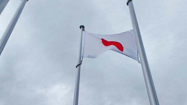 風にはためく日本国旗