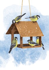 watercolor drawing birds, great tits at bird feeder with seeds and snow in winter, hand drawn wildlife illustration © cat_arch_angel