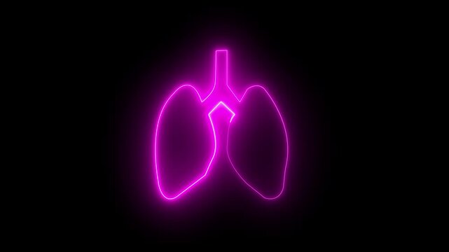Glowing color neon line Human kidney icon isolated on a dark night background.