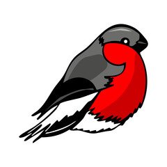Vector color illustration of a hand-drawn bullfinch bird