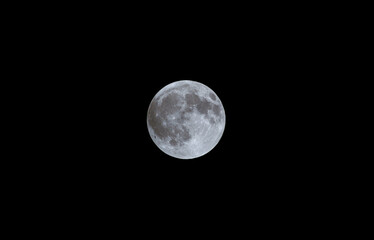 A highly detailed shot of the full moon with cool tones, clearly showing its grey craters and surface texture against the pure black backdrop of the night sky.
