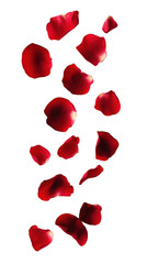 A cascade of red rose petals gracefully falling against a clean white background. evoking a sense of romance and elegance. perfect for wedding themes or floral arrangements