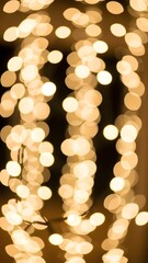 A soft overlay of warm white and golden string lights, emitting a festive glow perfect for celebrations and cozy home decoration.