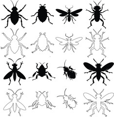 Diverse Bug Silhouettes and Line Art Collection