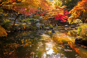 秋の群馬県高崎市・徳明園で見た、池に映るカラフルな紅葉