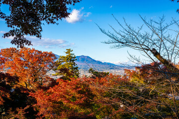 Fototapeta premium 秋の群馬県高崎市・少林山達磨寺から見た、カラフルな紅葉と快晴の青空