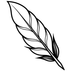 Obraz premium feather vector illustration