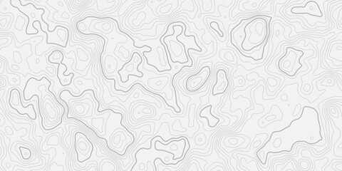 Elegant Black on White Geographic Contour Line Ornament with Modern Abstract Terrain Style