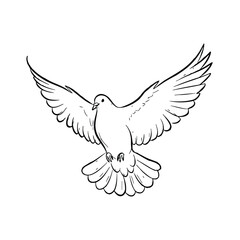 Naklejka premium Hand Drawn Dove with Wings Spread b4f29d3ce53331494f74d66ea1829ce4dr