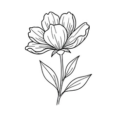 Obraz premium Outline drawing of a single blooming flower with leaves