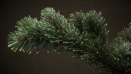 christmas tree branches