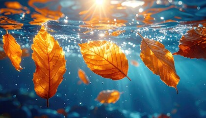 Autumn leaves float beneath clear water