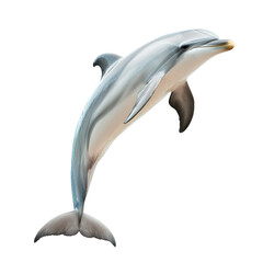 A dolphin leaping into the air against a white background.