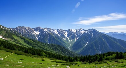 Verdant alpine meadows lead to snow-capped rugged mountain peaks under a clear blue sky.