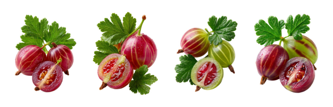 Four clusters of ripe red and green gooseberries with leaves and cut halves isolated on transparent background