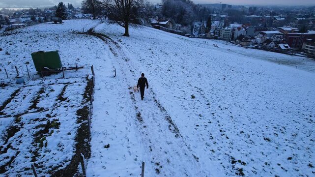 Young man with a wood sledge walking on top of a snowy hill, Uster, Switzerland