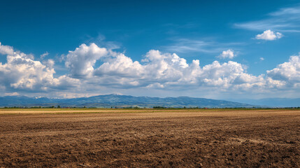 A plowed field under a blue sky with white clouds and mountains in the distance on a sunny day