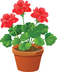 a vibrant red geranium plant displayed in a simple terracotta flowerpot high quality