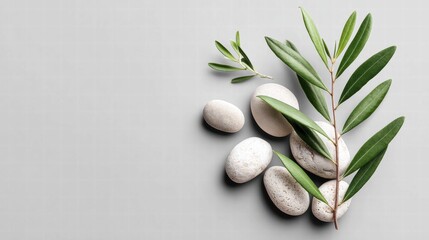 Zen composition featuring smooth stones and olive branches on a gray background.