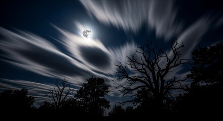 Full moon shines through streaking clouds over silhouetted trees at night.