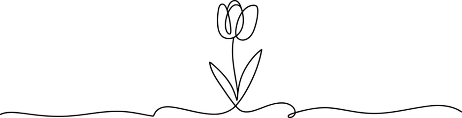 An elegant single line drawing illustrates a tulip flower emerging from a graceful looping ground