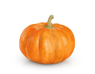 One beautiful orange pumpkin is isolated on a transparent background