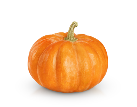 One beautiful orange pumpkin is isolated on a transparent background
