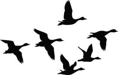 A flock of black birds are flying in a formation across a white