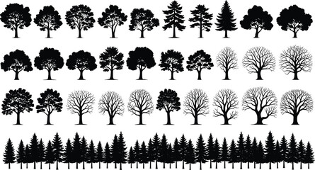 Tree silhouette set, black vector illustration, forest shapes, seasonal foliage, coniferous and deciduous trees, nature design, botanical art
