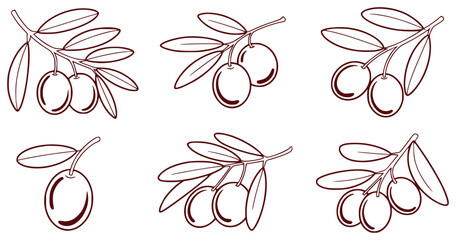 Collection of Stylized Olive Branches with Olives and Leaves