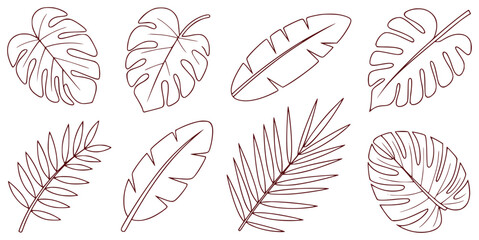 Collection of Tropical Leaf Line Art Illustrations