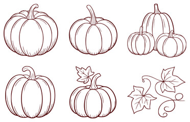 Hand-Drawn Pumpkin Illustrations and Autumn Leaves Outline Art