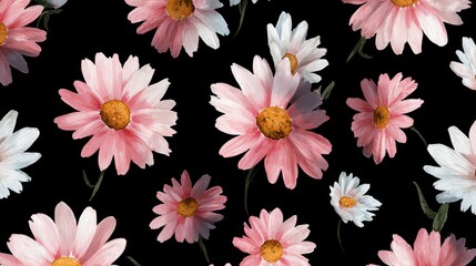Vibrant pink and white daisies blooming on a dark background create a lively floral pattern