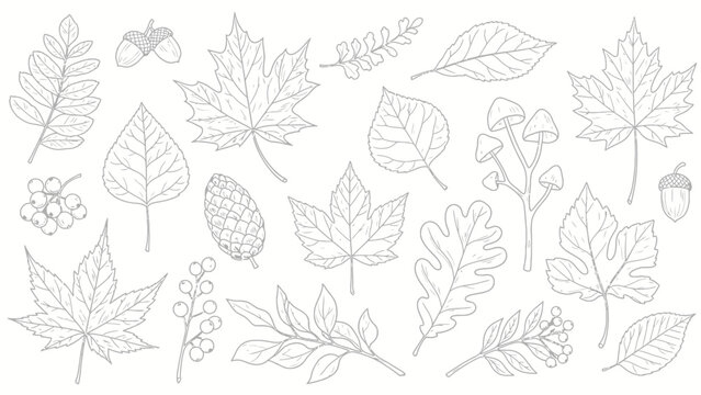 Elegant Autumn Leaves and Forest Elements Seamless Pattern: A Delicate Hand-Drawn Outline