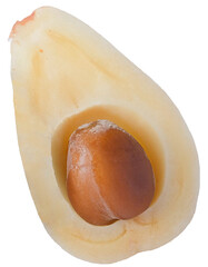 Single Salak Fruit Segment, Snake Fruit, Cut Lengthwise Exposing Seed in Transparent Background