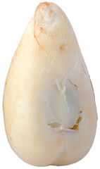 Single Peeled Salak Fruit Segment, Snake Fruit, Showing White Flesh in Transparent Background
