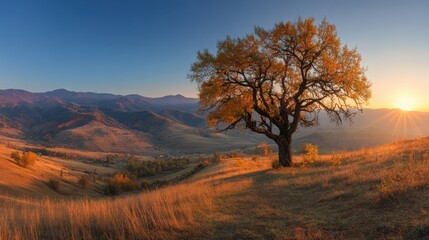 Obraz premium Autumnal Landscape With Sunlit Tree And Mountain Range Under Clear Blue Sky At Sunset