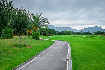 Empty asphalt road in the green park with palm trees and mountain background.