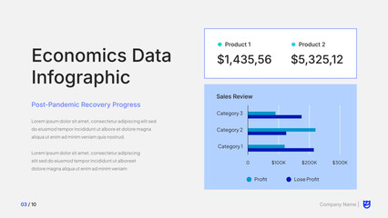 Economic Data Infographic