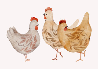 Watercolor chickens on farm with rustic floral style. Hand painted hens illustration for country designs and children decor.
