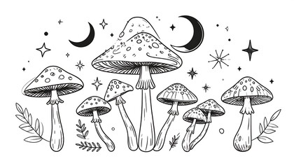Black and white illustration of mushrooms with celestial elements
