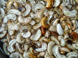 Cashews ready to be cooked. High-resolution close-up image of raw cashew nuts soaking in water, showcasing their natural shapes, textures, and creamy beige tones.