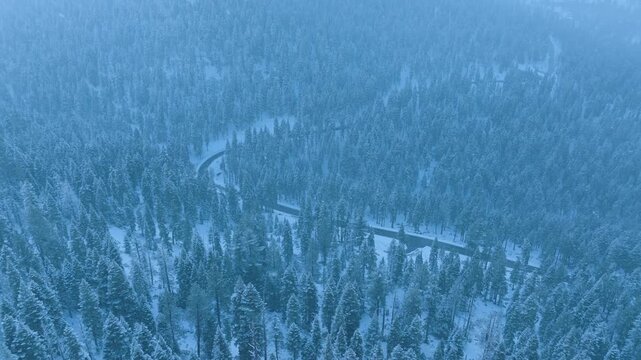 Frozen stream flows, cold river navigates through wintery woodland covered in snow and mist, wintry river meanders peacefully through snowdusted forest valley with pale blue fog drifting above