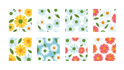 Obraz premium Collection of vibrant floral daisy patterns for textile design and decoration spring summer season