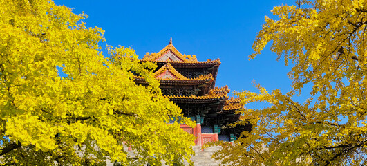 Forbidden City  iin autumn