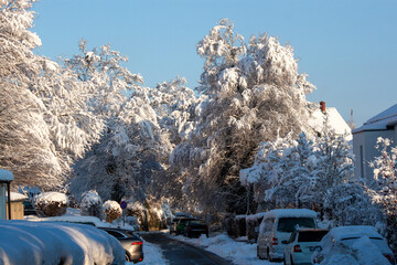 Parked cars on a snowy street under heavy snow-covered trees during a sunny winter morning