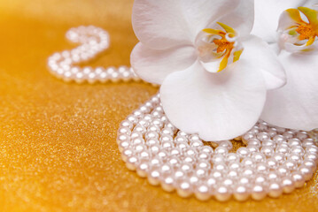 A branch of white orchids on a shiny gold background
